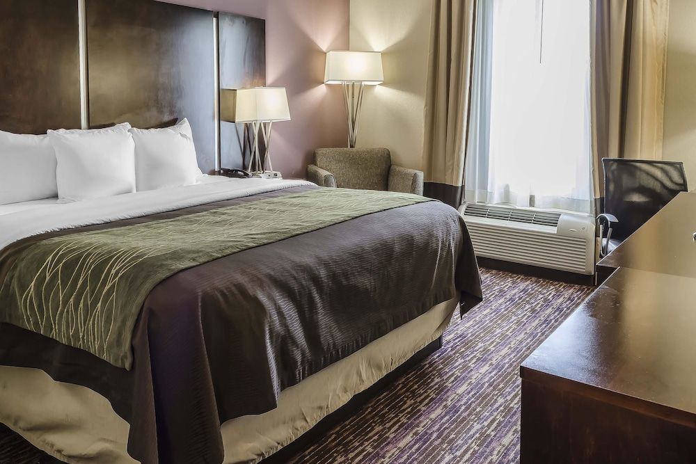 Standard Room, 1 King Bed, Non Smoking