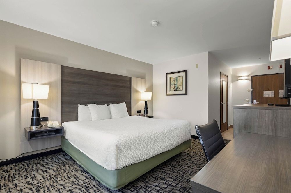 Standard Room, 1 King Bed, Accessible, Non Smoking