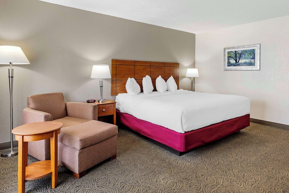 Standard Room, 1 King Bed, Non Smoking, Refrigerator & Microwave (Pet Friendly)