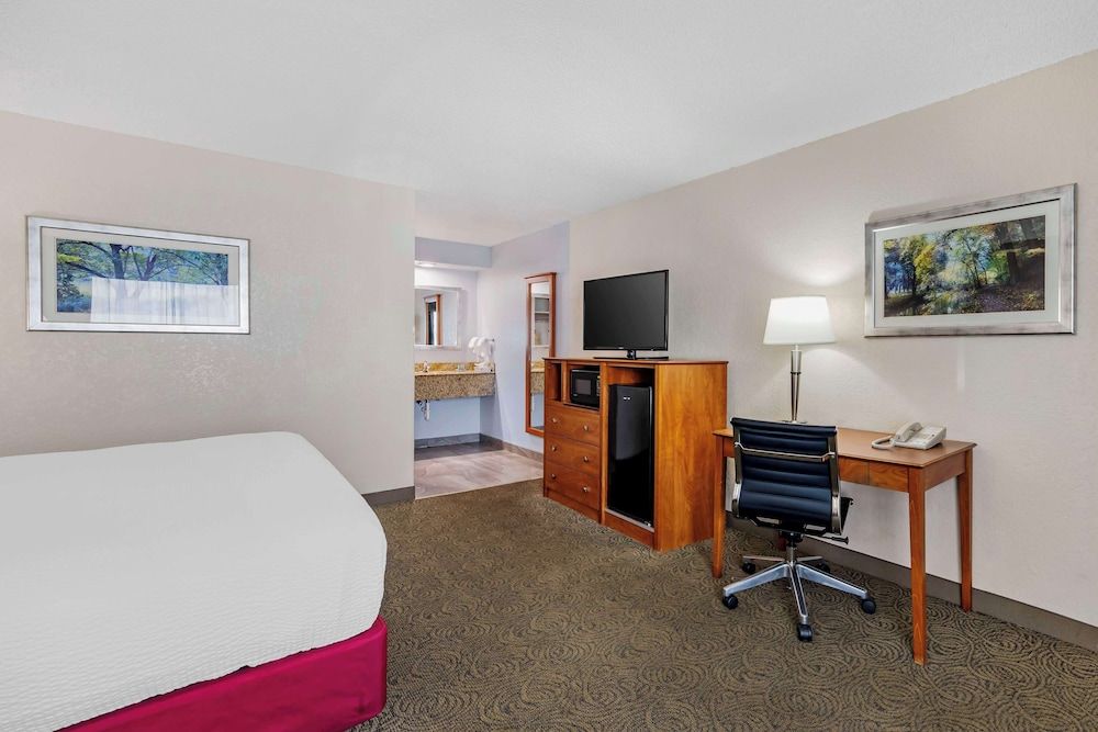 Standard Room, 1 King Bed, Non Smoking, Refrigerator & Microwave (Pet Friendly)