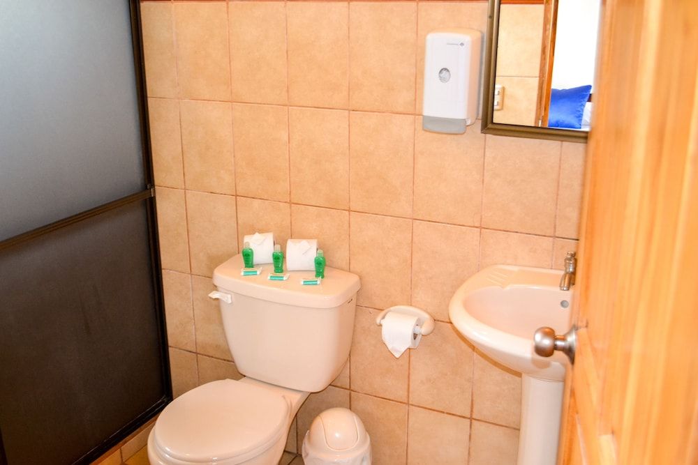 Termales del Bosque & Hot Springs Standard Bungalow 13