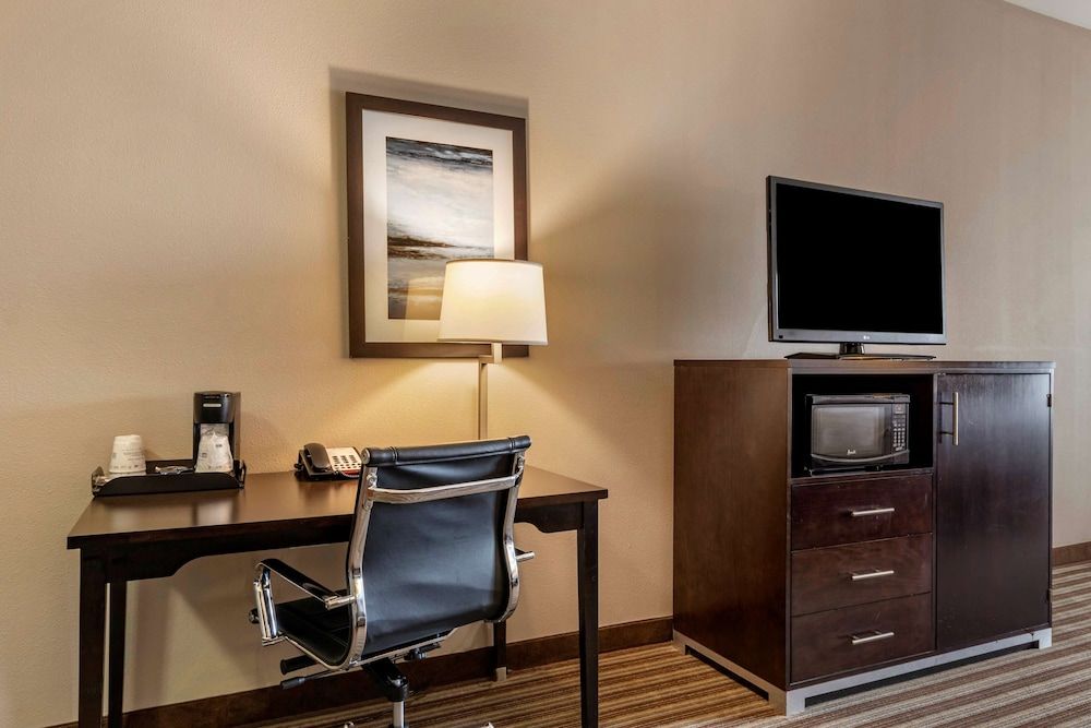 Suite, 1 King Bed, Non Smoking, Refrigerator & Microwave (with Sofabed)