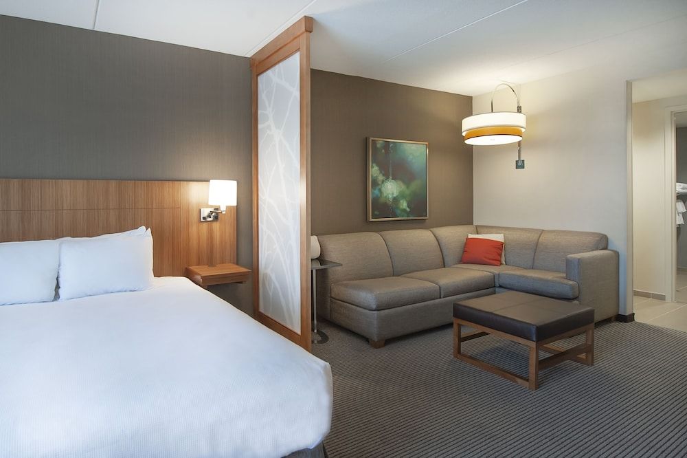 Suite, 1 King Bed