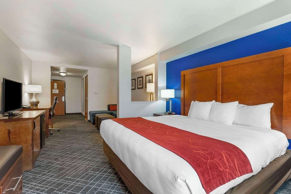 Business Suite, 1 King Bed with Sofa bed, Accessible, Non Smoking