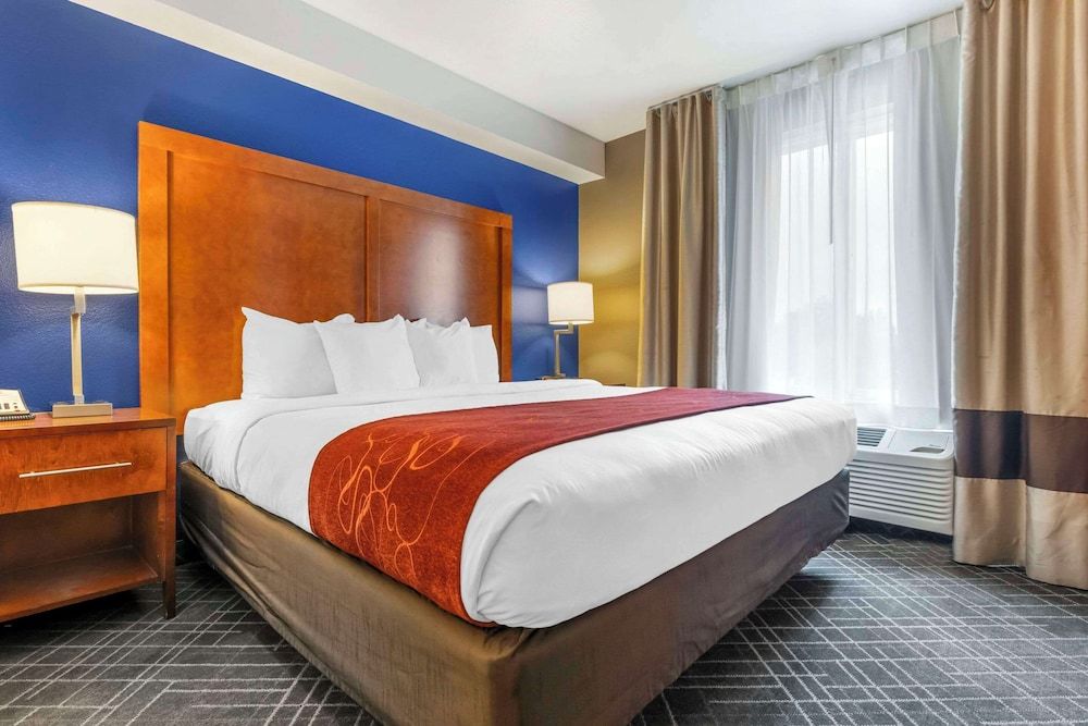 Suite, 1 King Bed with Sofa bed, Non Smoking
