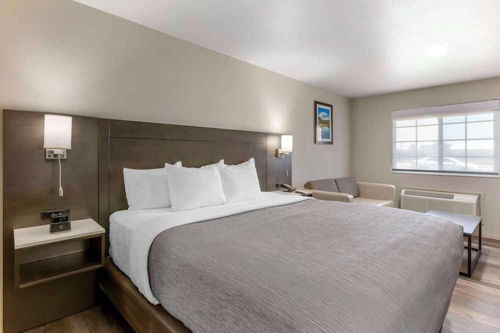 Quality Inn Show Low Standard King, 1 King Bed, Roll-In Shower, Accessible, Non Smoking, 1st floor 2-person sofa bed 2