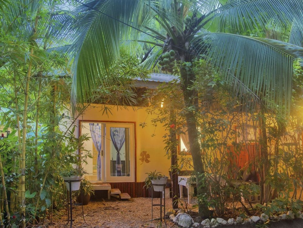 Jungle's Edge Lotus Grande 8