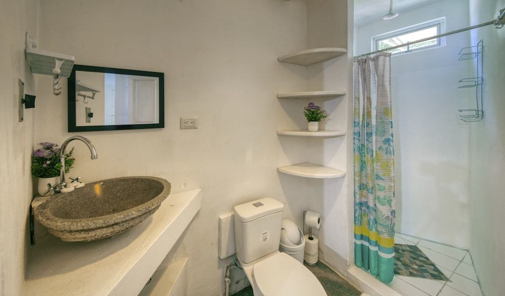 Jungle's Edge Lotus Grande 11