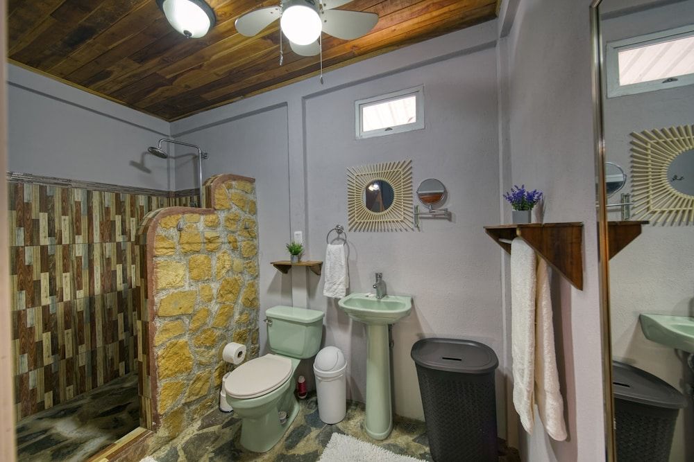 Jungle's Edge Bamboo Deluxe 7