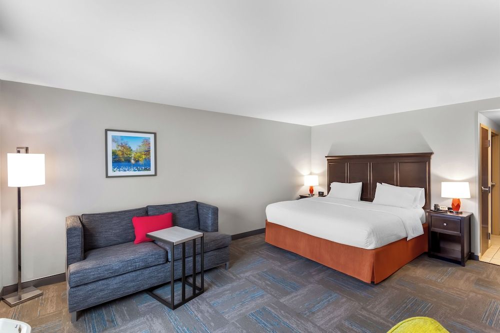 Room, 1 King Bed, Accessible, Non Smoking