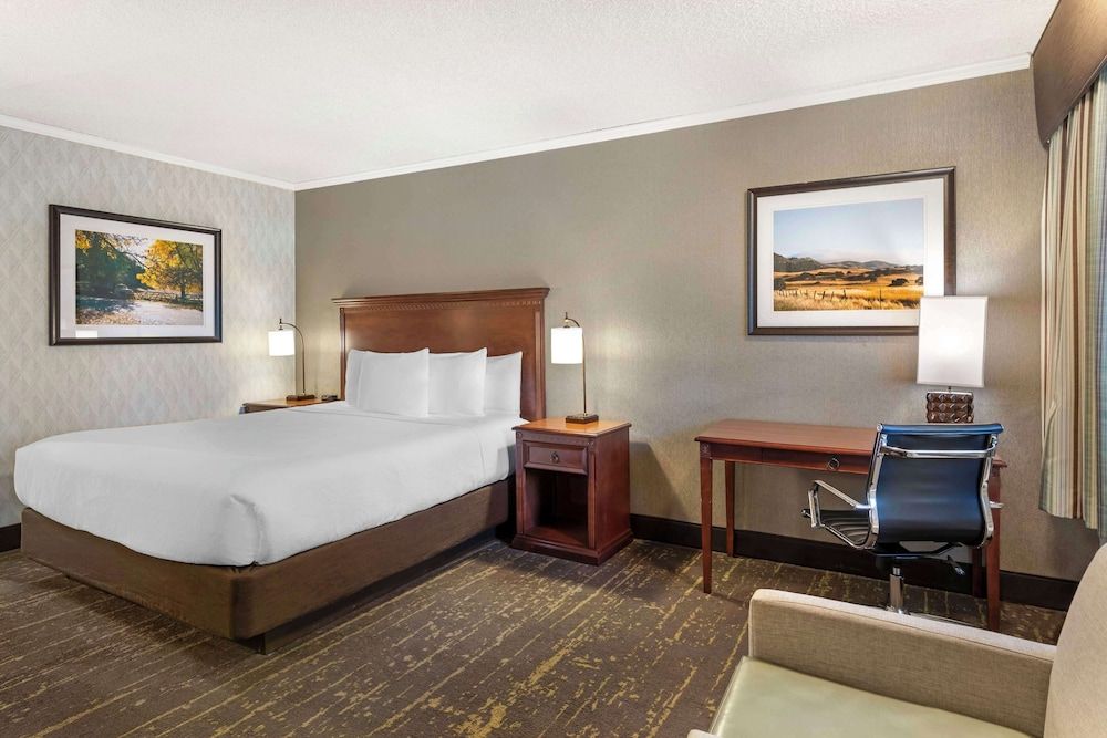 Standard Room, 1 King Bed, Smoking, Refrigerator & Microwave