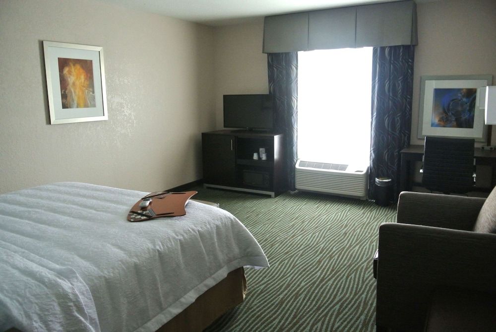 Room, 1 King Bed