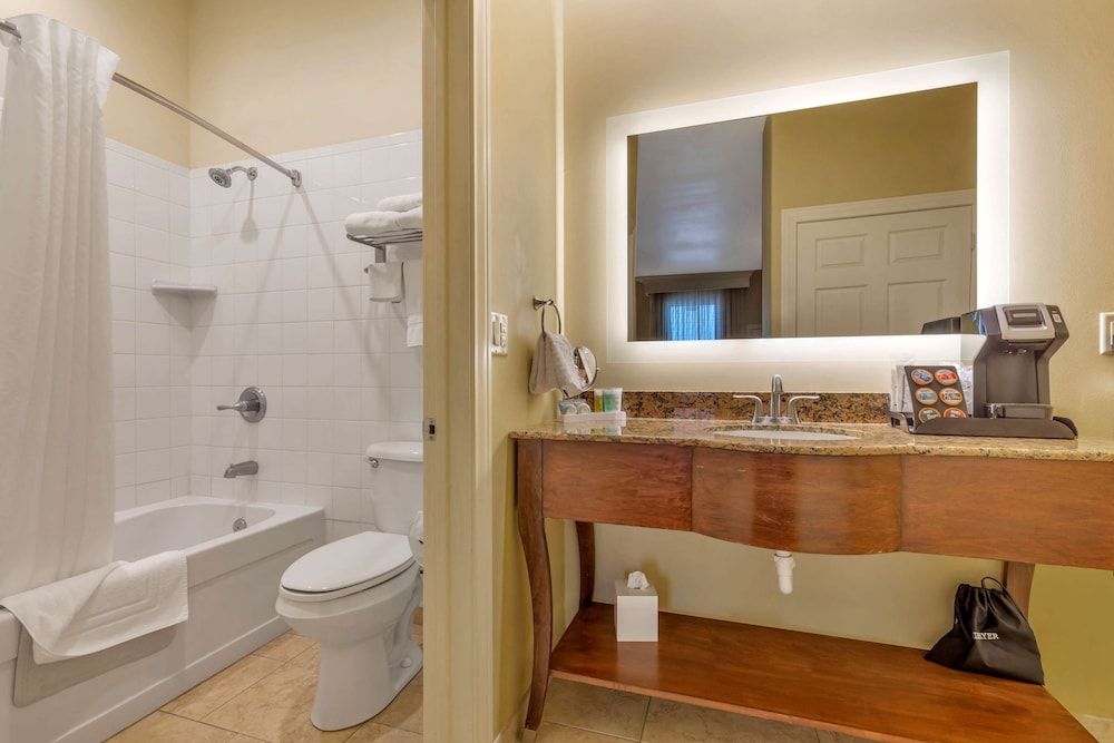 Best Western Plus Swiss Chalet Hotel & Suites Standard Room, 1 King Bed, Non Smoking, Refrigerator & Microwave (with Sofabed) 3