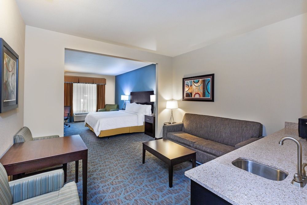 Suite, 1 King Bed with Sofa bed, Accessible (Accessible Tub)