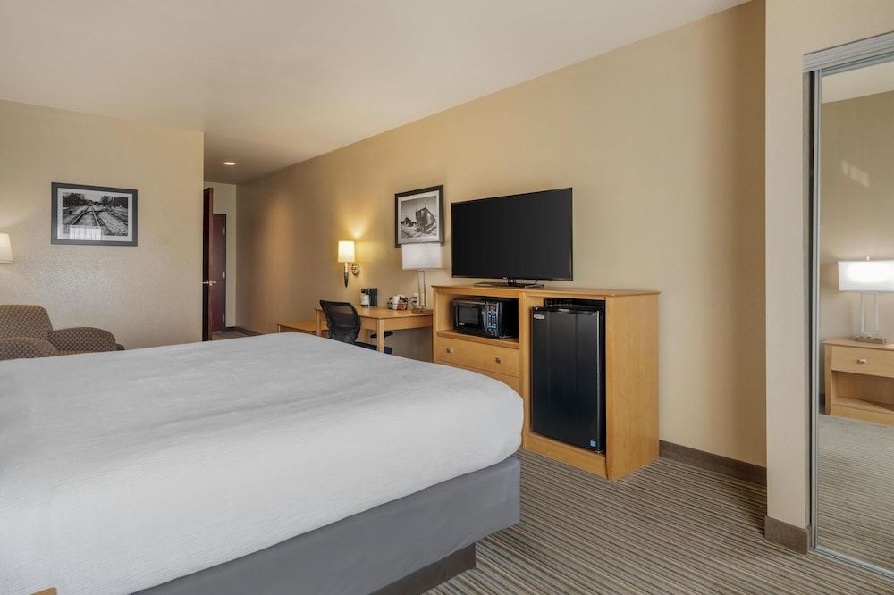 Standard Room, 1 King Bed, Accessible, Refrigerator & Microwave