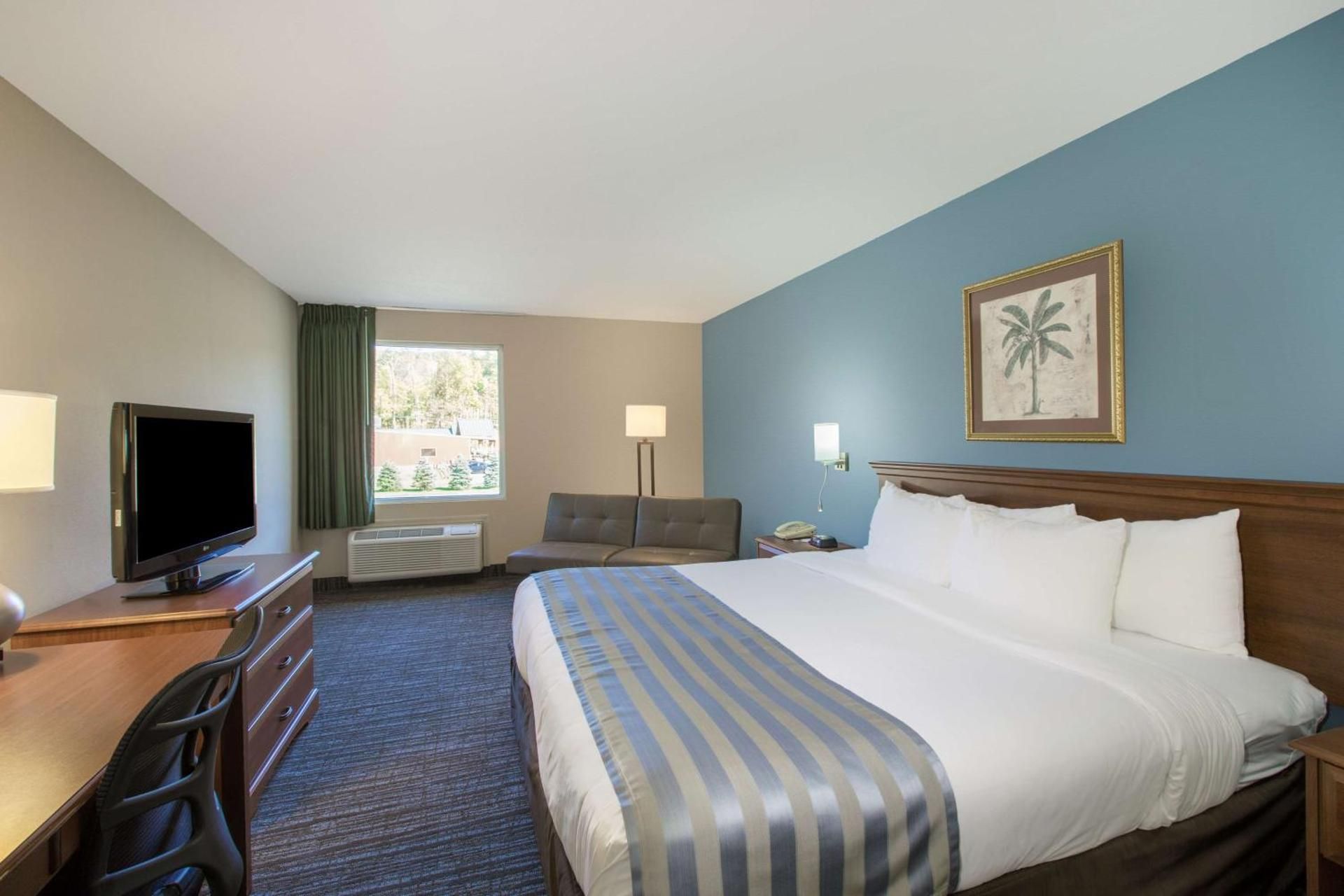 1 King Bed Non-Smoking