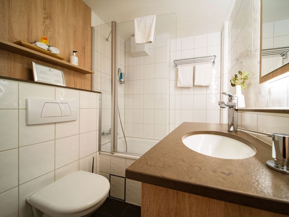 undefined Hotel Spalentor 8