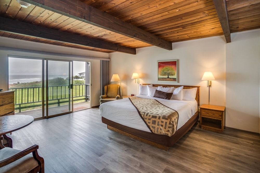 King Room, Ocean View, Balcony/Patio, Pets Allowed