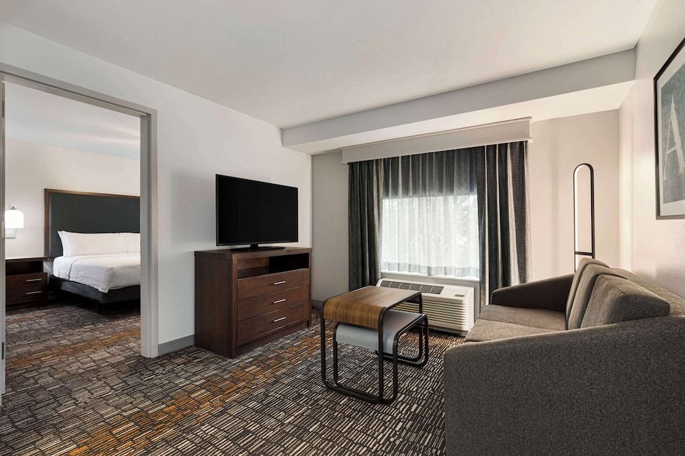 Suite, 1 King Bed with Sofa bed