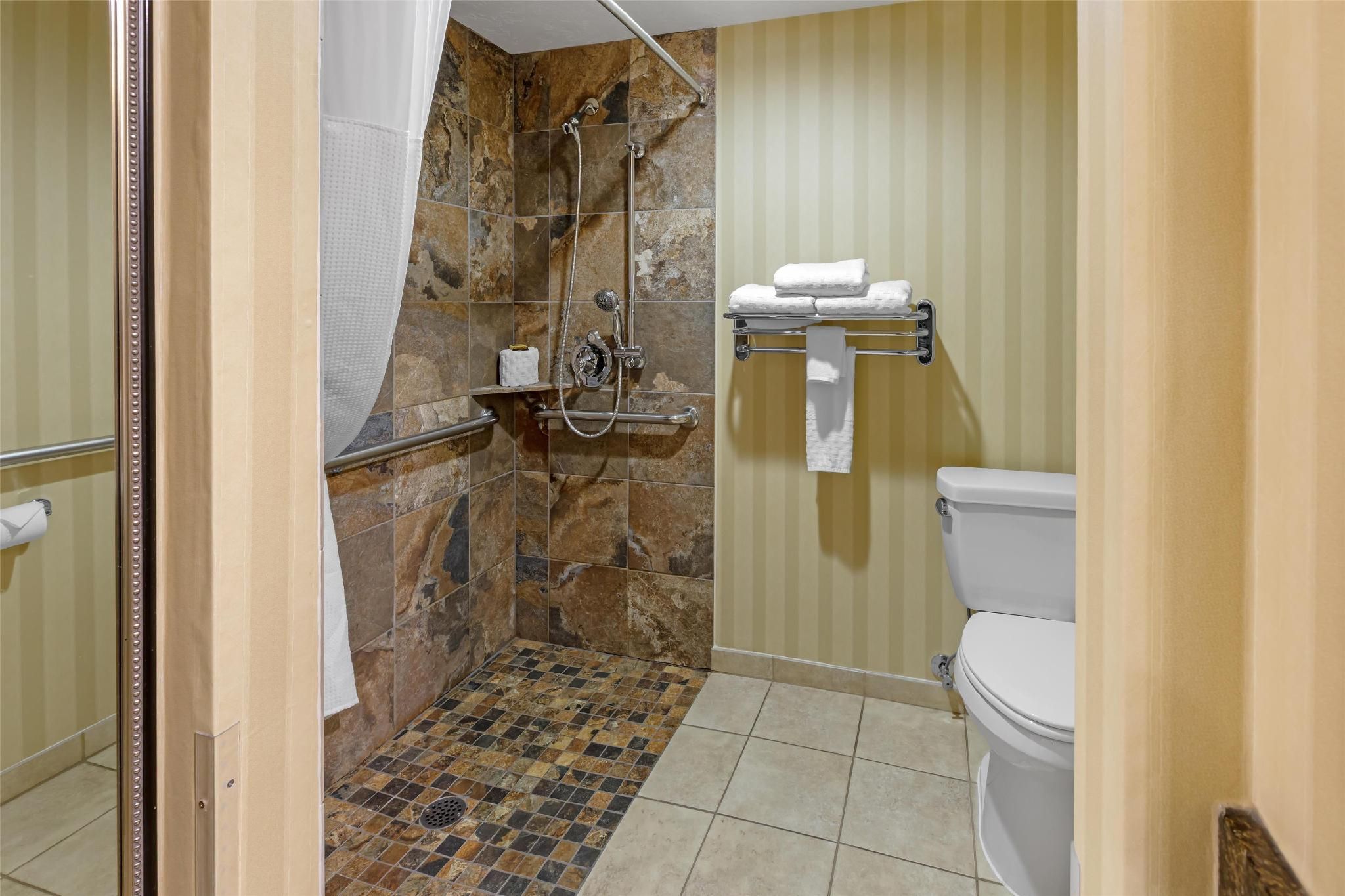 Accessibility - 1 King, Roll-in Shower, Nonsmoking
