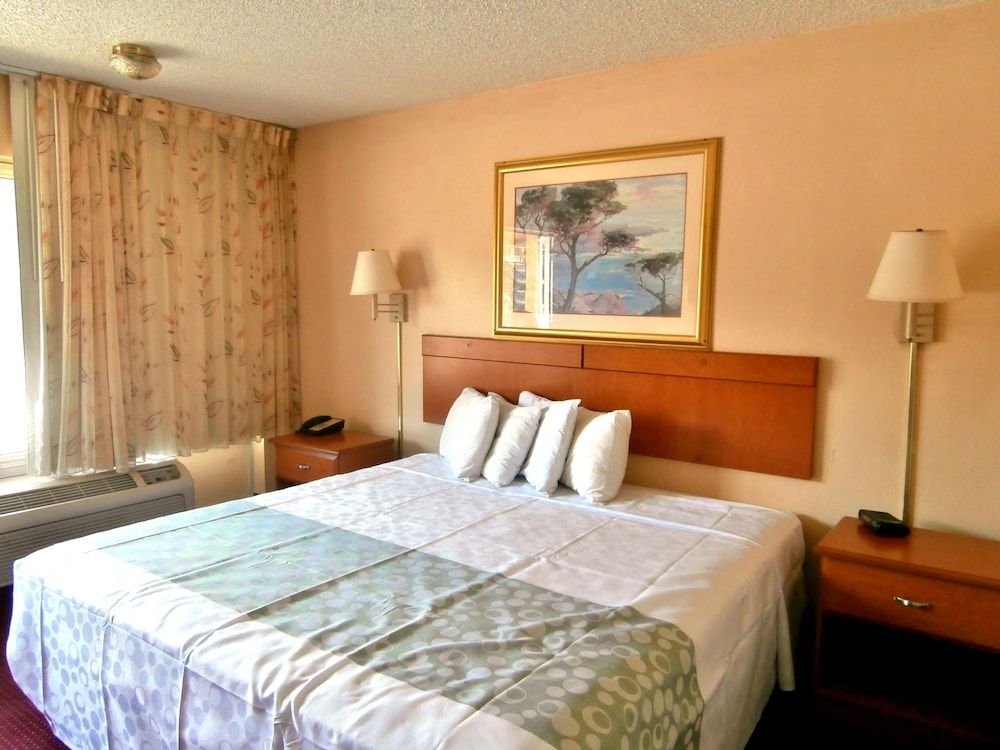 Room, 1 King Bed, Non Smoking
