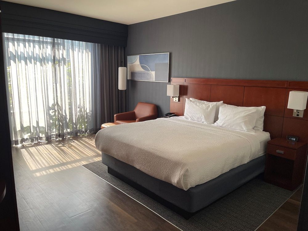 Room, 1 King Bed with Sofa bed (Mobility/Hearing Access, Roll-In Shwr)