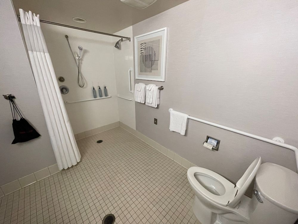 Room, 1 King Bed with Sofa bed (Mobility/Hearing Access, Roll-In Shwr)