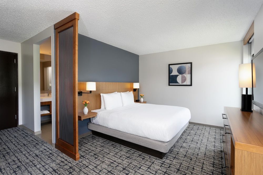 Room, 1 King Bed (with Sofa Bed)