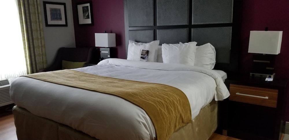 Standard Room, 1 King Bed, Non Smoking