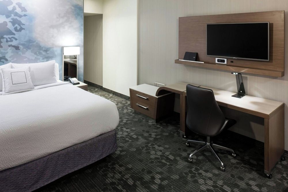 Room, 1 King Bed with Sofa bed (Hearing Accessible)