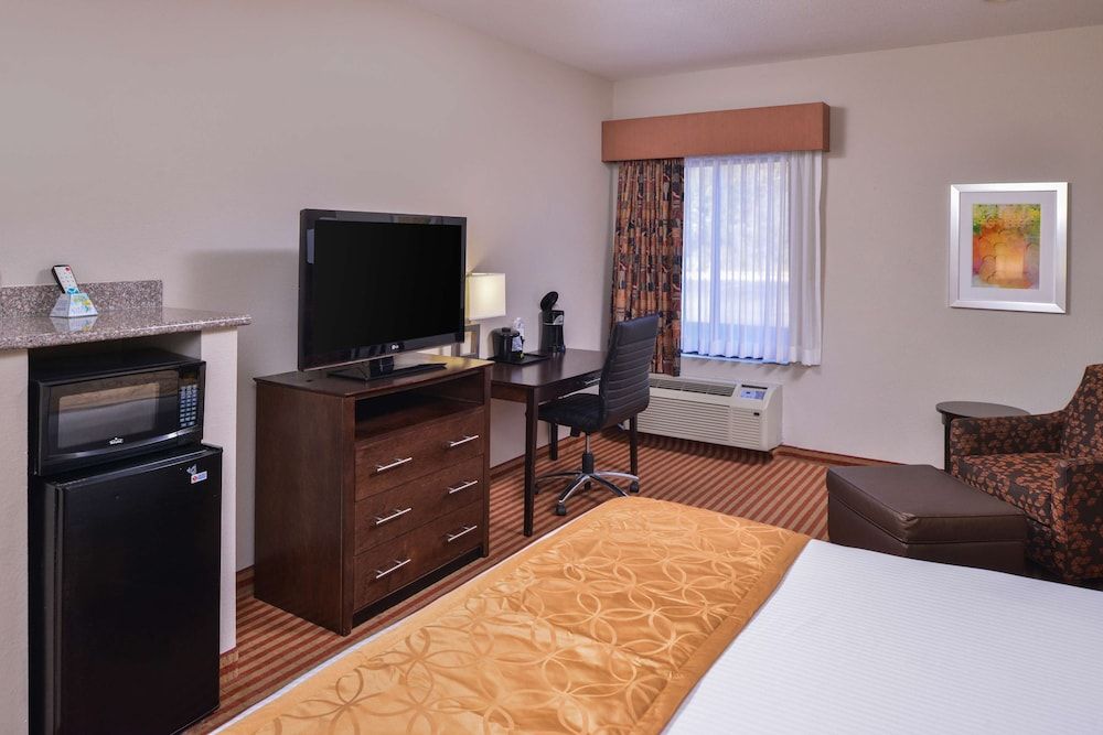 Room, 1 King Bed, Smoking