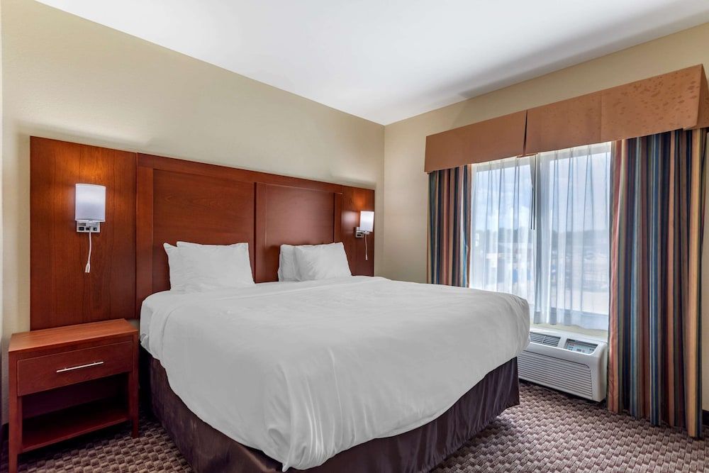 Room, 1 King Bed, Accessible, Non Smoking