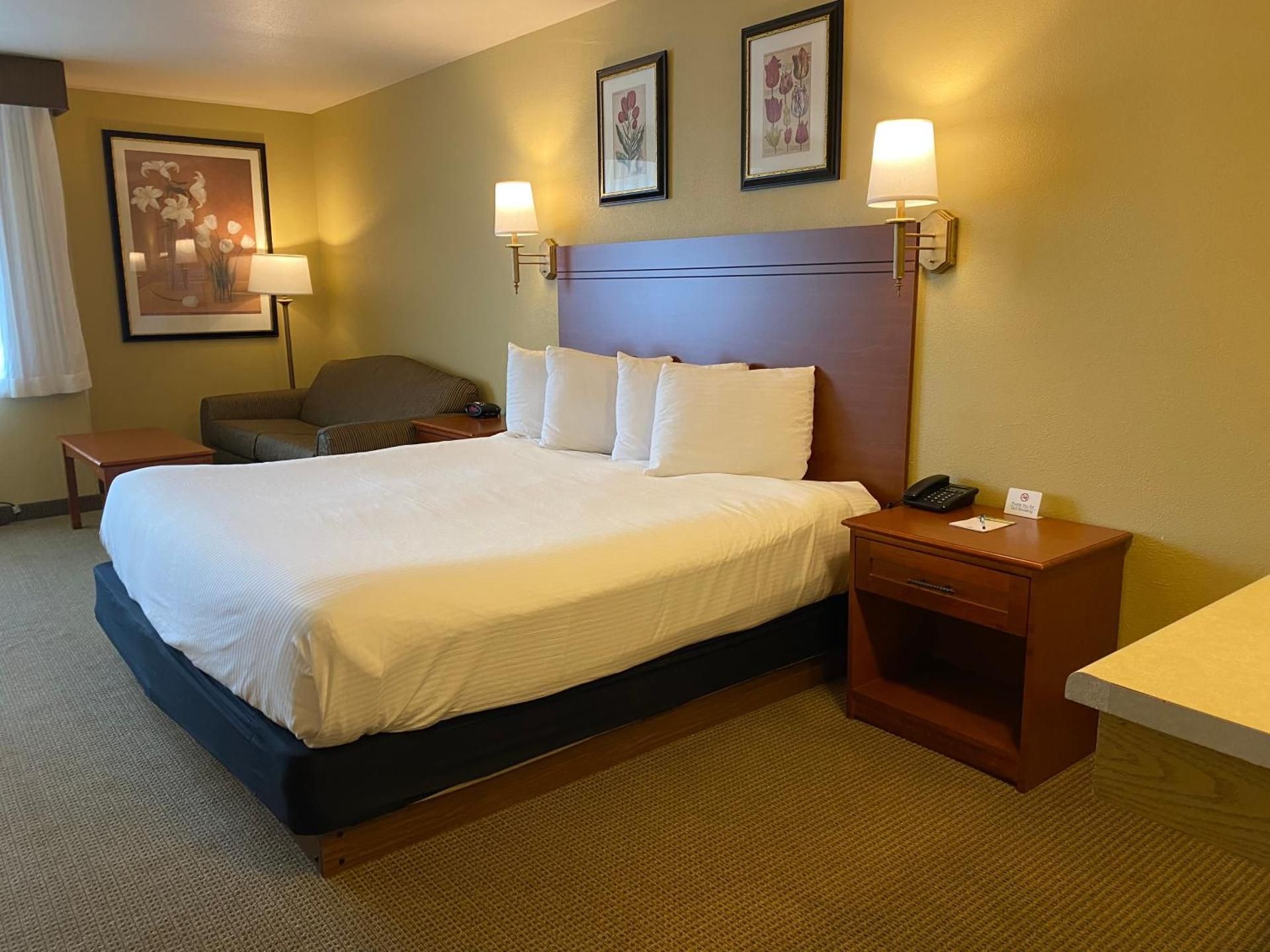 1 King Bed, Mobility Accessible Room, Roll-In Shower, Non-Smoking