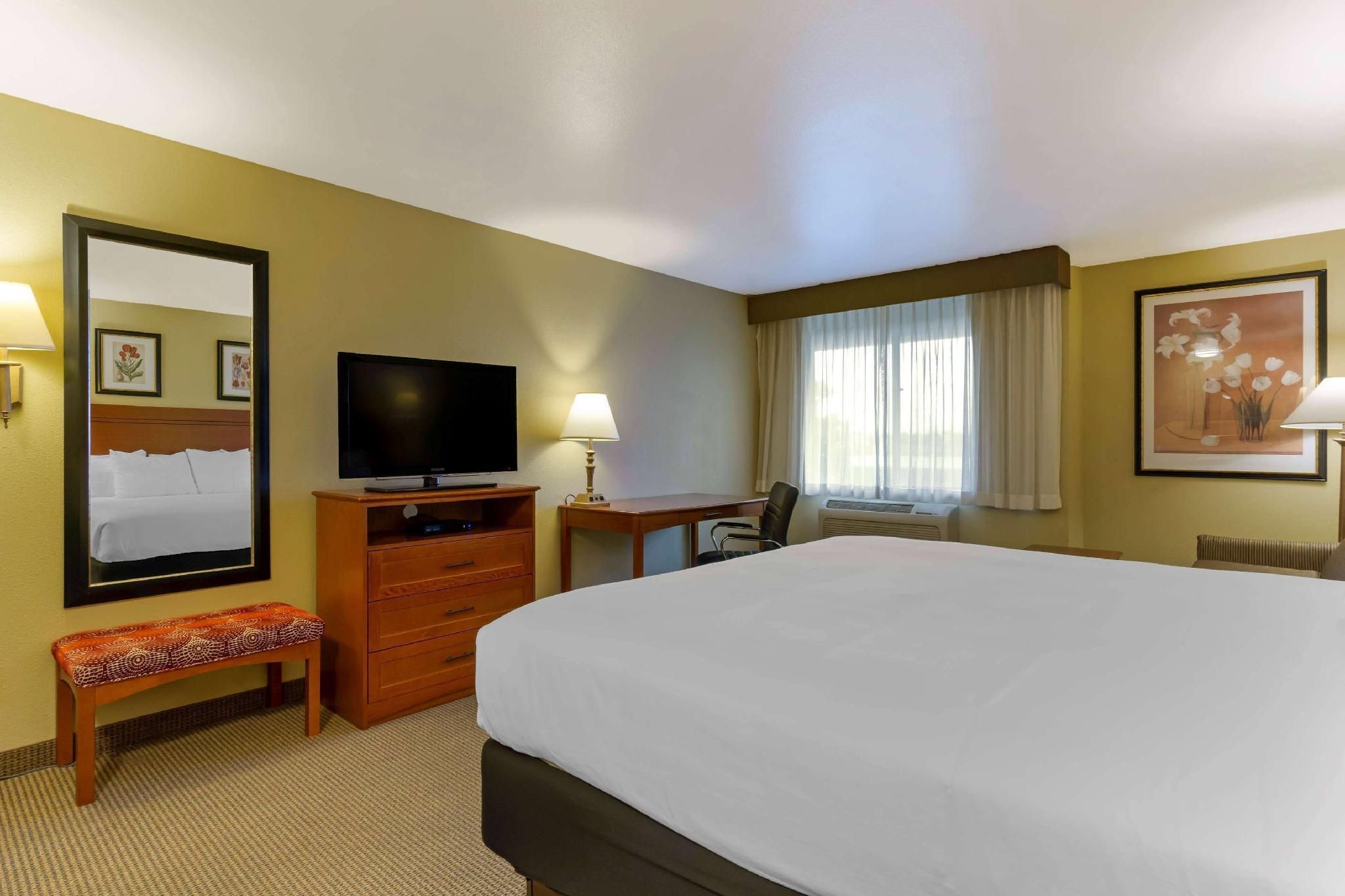 1 King Bed, Non-Smoking