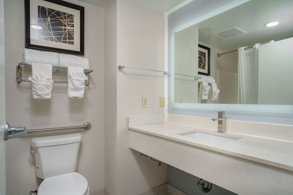 Business Suite, 1 King Bed, Non Smoking, Refrigerator & Microwave