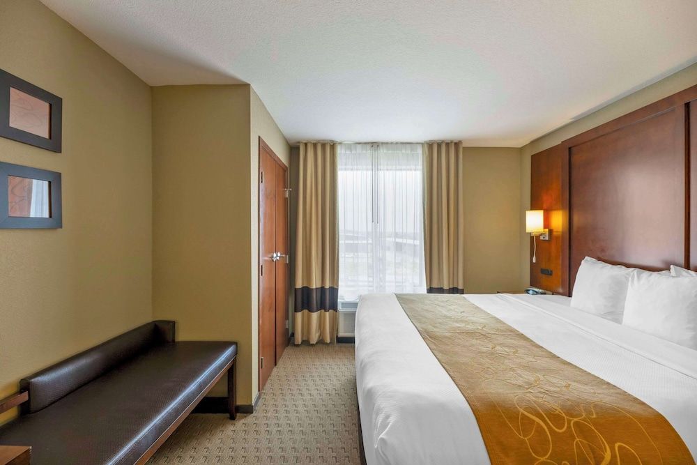 Suite, 1 King Bed with Sofa bed, Non Smoking