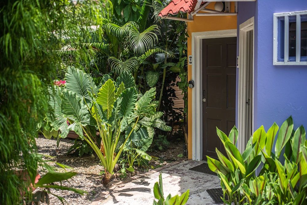 Jaco Lodge Quiet Hotel Economy Double Room, 1 Double Bed 2