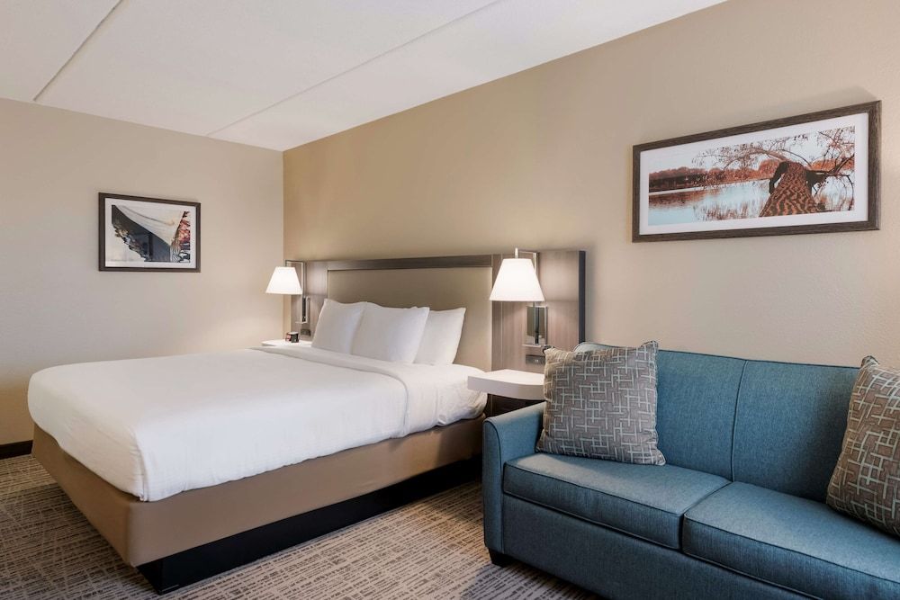 Standard Room, 1 King Bed, Non Smoking, Refrigerator & Microwave (Oversized Room)
