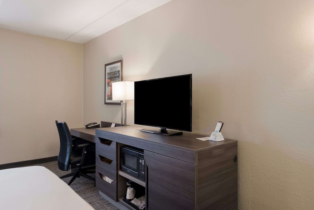 Standard Room, 1 King Bed, Non Smoking, Refrigerator & Microwave (Oversized Room)