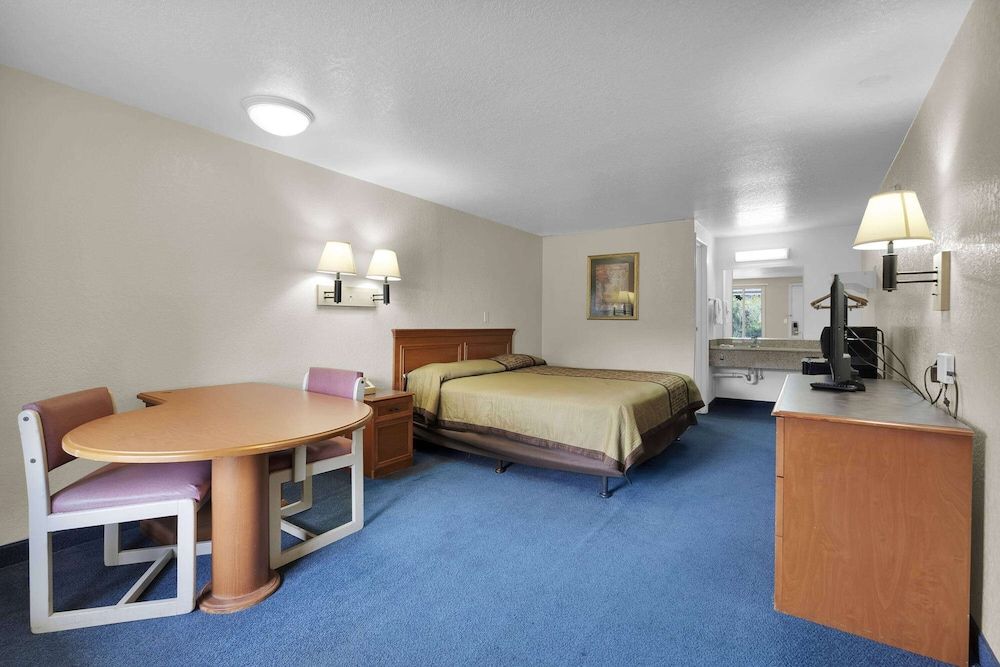 Room, 1 King Bed