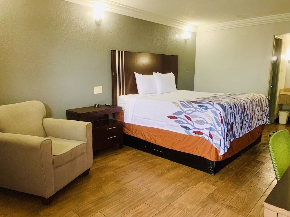 Room, 1 King Bed