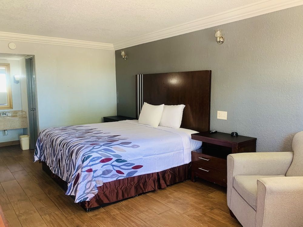 Room, 1 King Bed, Smoking