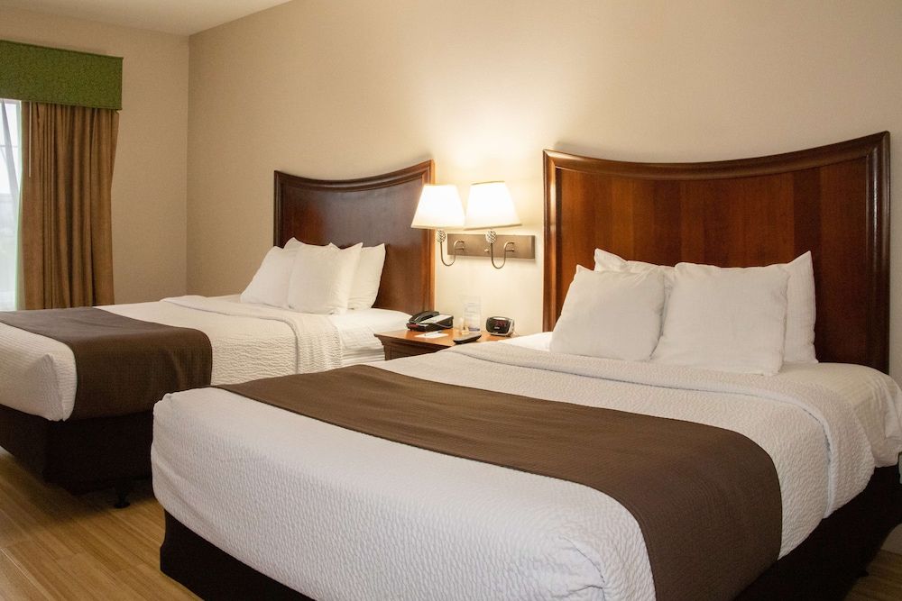 Standard Room, 2 Queen Beds, Non Smoking, Refrigerator & Microwave