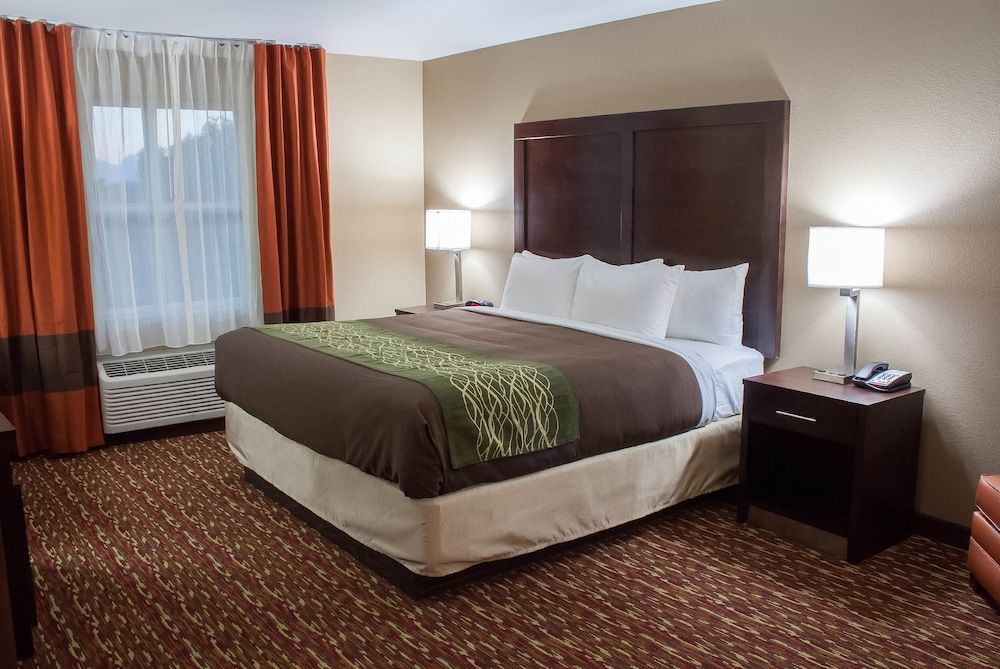 Suite, 1 King Bed with Sofa bed, Non Smoking