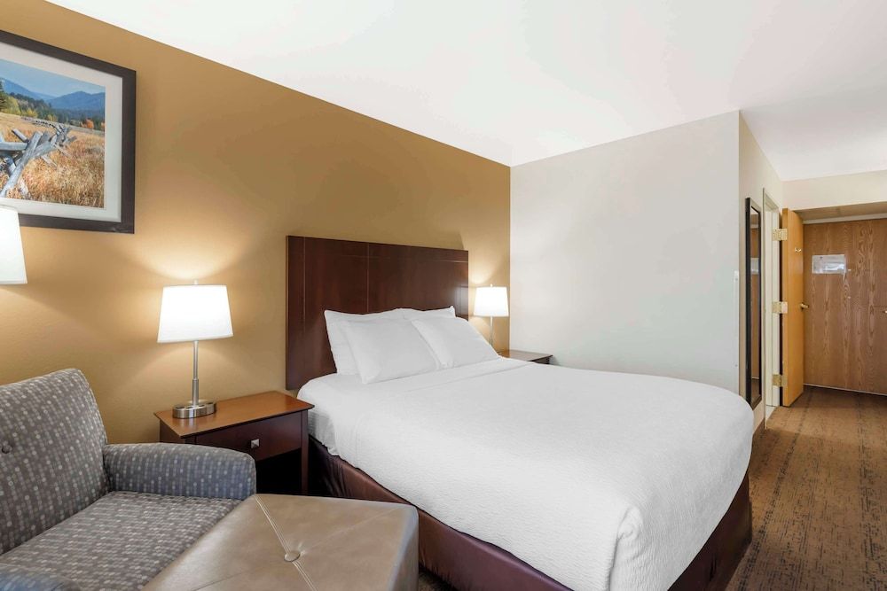 Standard Room, 1 Queen Bed, Accessible