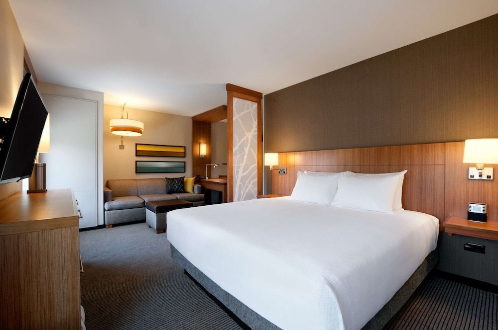 Room, 1 King Bed with Sofa bed