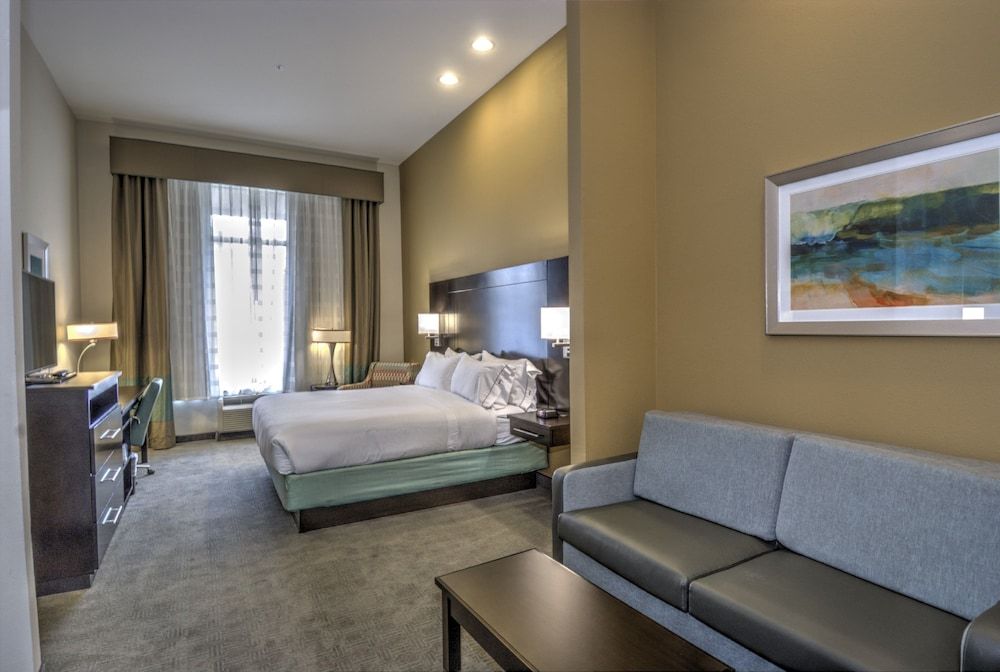 Suite, 1 King Bed with Sofa bed