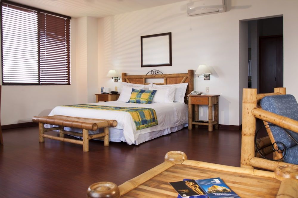 Junior Room, 1 King Bed
