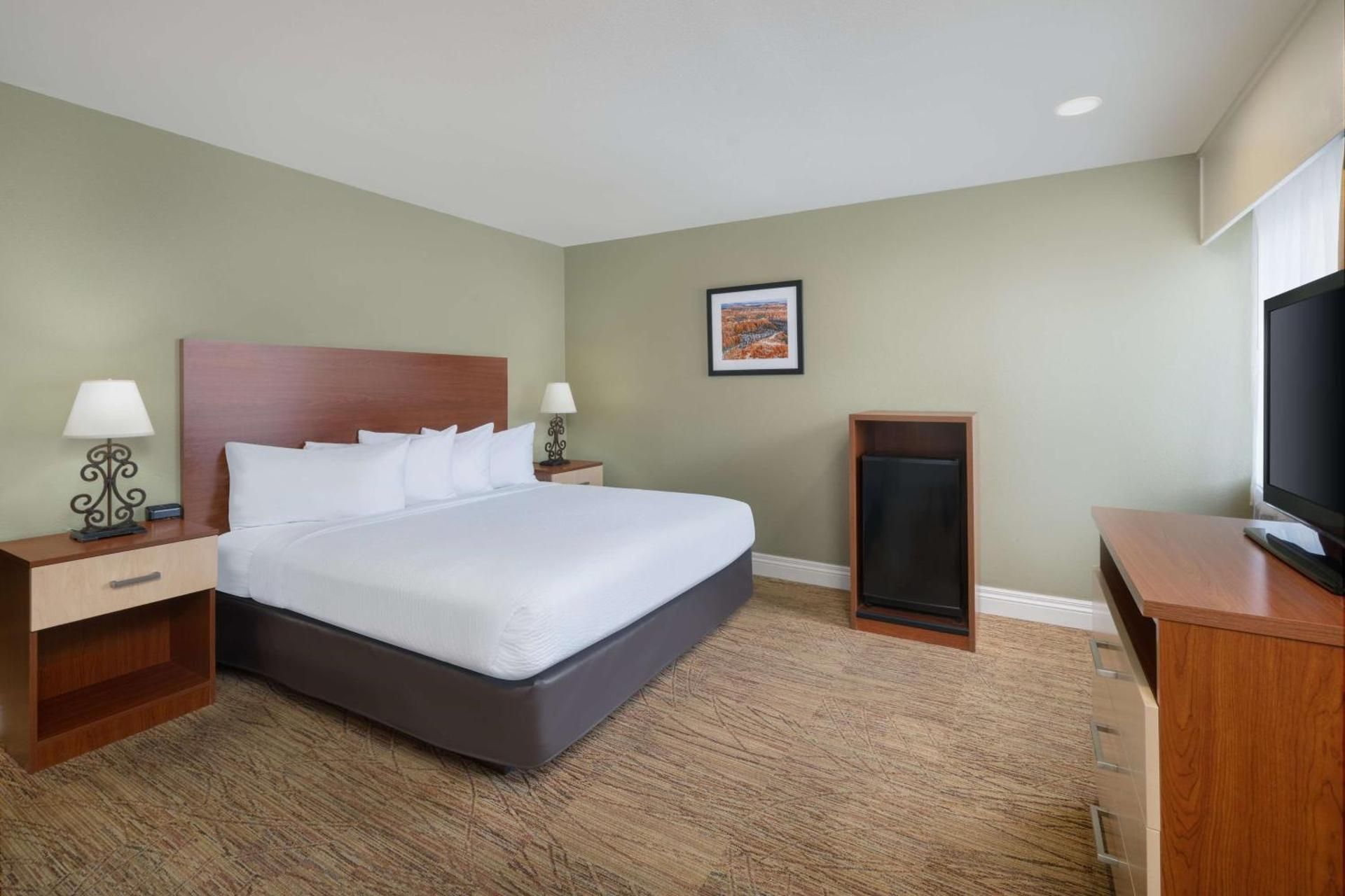 King Room with Roll-In Shower - Mobility Access