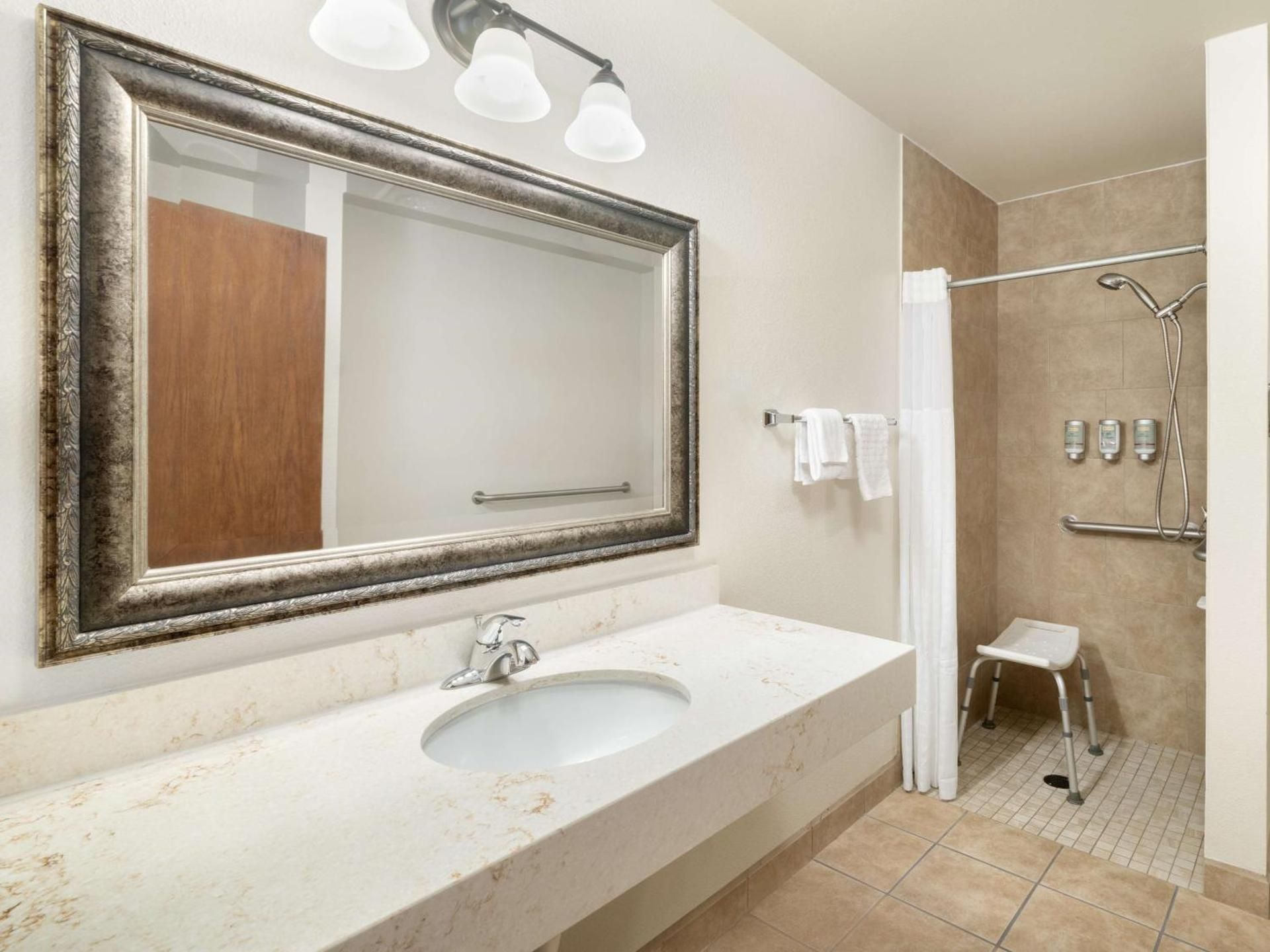 King Room with Roll-In Shower - Mobility Access